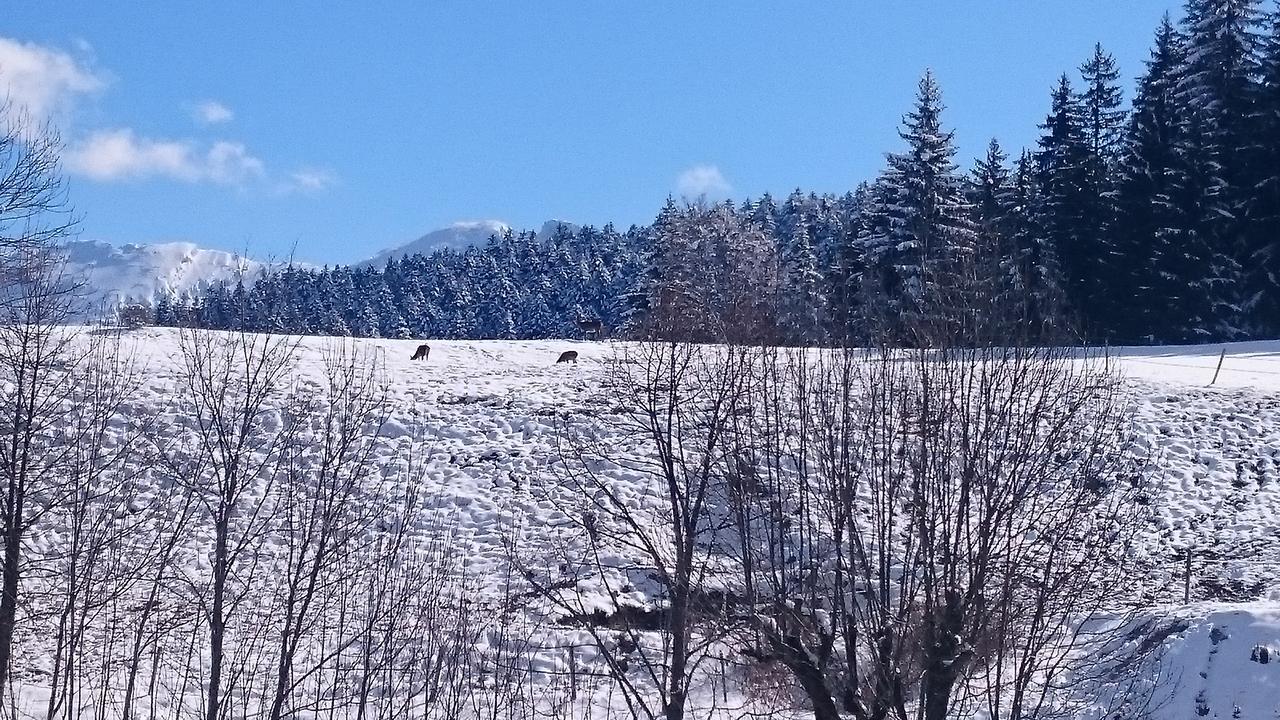 La Ferme du Bois Barbu Hotel Villard-de-Lans Bagian luar foto